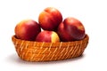 Fresh fruit nectarines in the basket, on white background Royalty Free Stock Photo