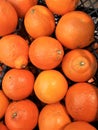 fresh fruit orange fruits of orange color are useful to health many vitamin, juice, veretarianets