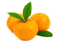 Fresh fruit orange with leaves on white background Royalty Free Stock Photo