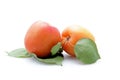 Fresh fruit peaches apricots cherries on white bac Royalty Free Stock Photo