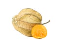 Fresh fruit physalis Royalty Free Stock Photo