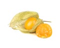 Fresh fruit physalis Royalty Free Stock Photo