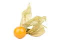 Fresh fruit physalis Royalty Free Stock Photo