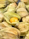 Fresh fruit physalis Royalty Free Stock Photo