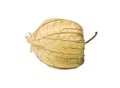 Fresh fruit physalis Royalty Free Stock Photo