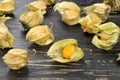 Fresh fruit physalis Royalty Free Stock Photo