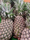 The fresh fruit of pineapple sell in the modern market