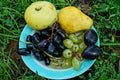 Fresh apple pear grapes and plums on a plate in the grass on the ground in the garden Royalty Free Stock Photo