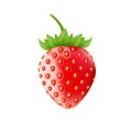 Strawberry isolated on white background, vector illustration. Royalty Free Stock Photo