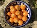 Fresh fruit, ripe and juicy Physalis is a bowl Royalty Free Stock Photo