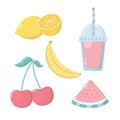 Fresh fruit sorbet set icons