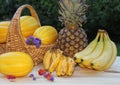 Fresh Fruit and Vegetables for Sale at Farmers Market Bananas and Miniature Bananas Royalty Free Stock Photo