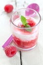 Fresh fruit yogurt Royalty Free Stock Photo