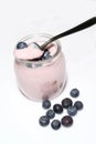 Fresh fruit yogurt with blueberries Royalty Free Stock Photo
