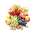 Fresh fruits