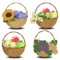 Fresh fruits in baskets with flowers. Apples, plums, pears, grape, daisy, sunflower.