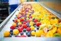 fresh fruits being sorted on conveyor belt