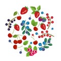 Fresh fruits and berries. Vector fruit banner. Sweet forest and