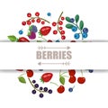 Fresh fruits and berries. Vector fruit banner. Sweet forest and