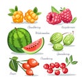 Fresh fruits collection gooseberry cloudberry raspberries watermelon briar cranberry