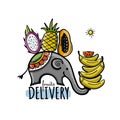 Fresh Fruits Delivery. Asian Elephant. Sketch for your design