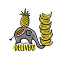 Fresh Fruits Delivery. Asian Elephant. Sketch for your design