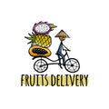 Fresh Fruits Delivery. Asian Man drive Bicycle with Fruits. Sketch for your design