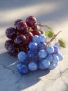 Fresh Fruits Display on a Light Surface Highlighted by Soft Spring Light Featuring Grapes in a Minimalist Setting for a Royalty Free Stock Photo