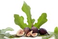 Fresh Fruits of Fig tree with leaves Royalty Free Stock Photo