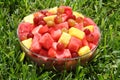Fresh fruits on the grass Royalty Free Stock Photo