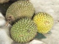 king of fruits, group of Durian