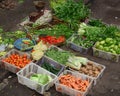 Fresh fruits at the market in Bali, Indonesia Royalty Free Stock Photo