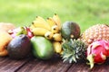 Mixed exotic fruits on wood background. Healthy eating, dieting. Top view with grass copy space Royalty Free Stock Photo