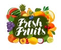 Fresh fruits. Natural food, greengrocery concept. Vector illustration