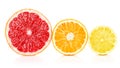 Fresh fruits orange lemon grapefruit in cut Royalty Free Stock Photo