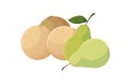 fresh fruits pears and melon