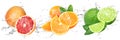 Fresh Fruits with water splash on isolated white background | grapefruit, orange and lime Royalty Free Stock Photo