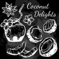 Fresh fruits vector collection in linear style. Hand-drawn graphic coconuts over the blackboard. Perfect menu template for vegetar