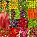 Fresh fruits and vegetables collage, healthy vegan vegetarian nutrition food Royalty Free Stock Photo