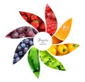 Fresh fruits and vegetables. Healthy food concept