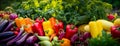 Fresh fruits and vegetables in a row in the garden,Fresh healthy bio fruits and vegetables on Bremen farmer agricultural Royalty Free Stock Photo