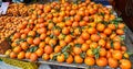 Fresh fruits and vegetables are sold at the Carmel open market in Tel Aviv, Israel. East market Royalty Free Stock Photo