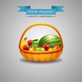 Fresh fruits in wicker basket isolated