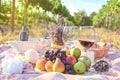 Fresh fruits and wine glass picnic outdoors. Vine yard background tasty food lifestyle naturals Royalty Free Stock Photo