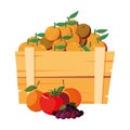 fresh fruits in wooden basket oranges