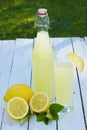 Fresh & Fruity homemade lemonade Royalty Free Stock Photo