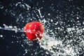 Fresh and fruity red apple water splash Royalty Free Stock Photo