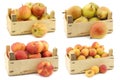 Fresh `Fuji` apples, `doyenne de comice` pears, wild flat nectarines and apricots Royalty Free Stock Photo