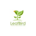 Fresh fun nature leaf bird logo icon vector template