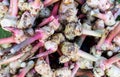 Fresh galangal on display at local market